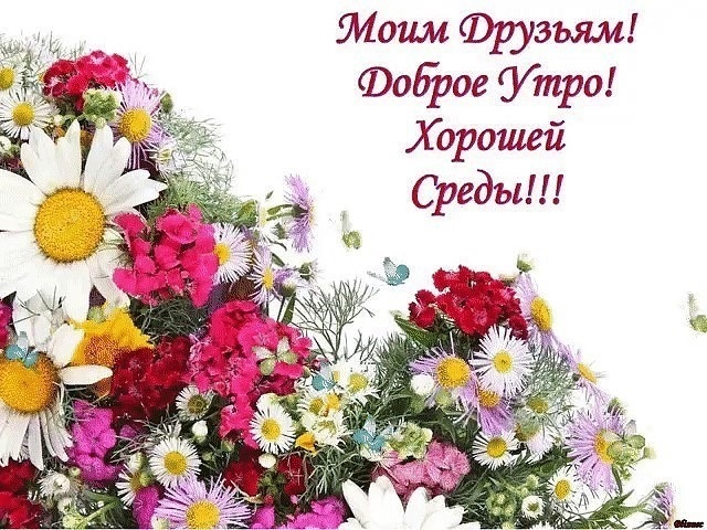 Открытки